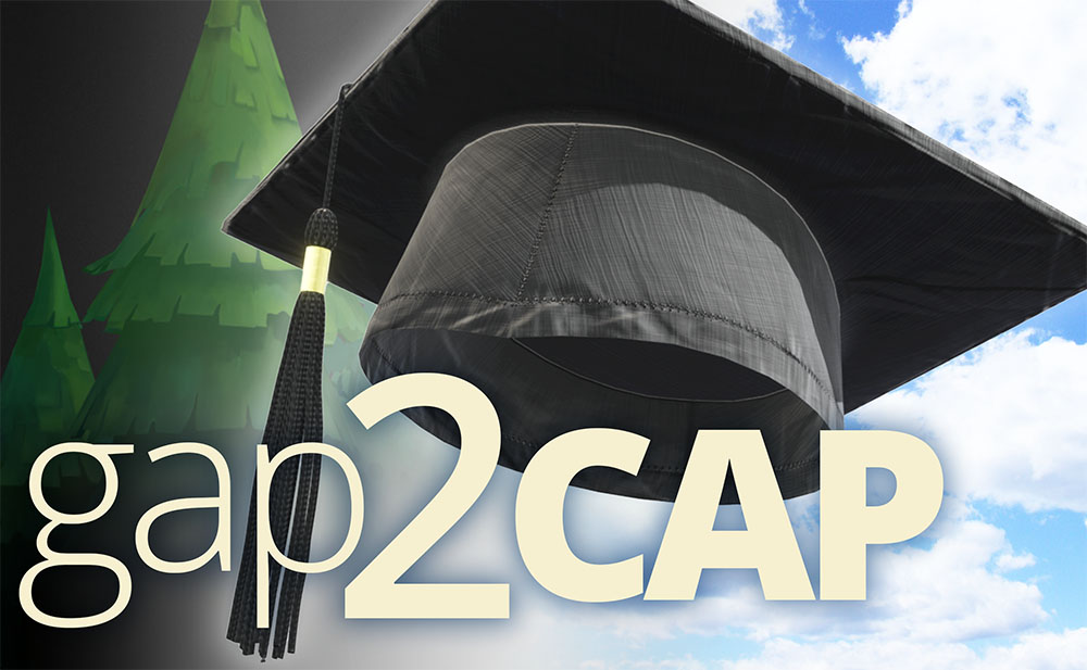 Gap to Cap Illustration