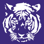 HHSO_white-tiger
